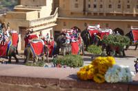 Amber Fort Jaipur &ndash; &copy; Mandy Lehmann (Eberhardt TRAVEL)