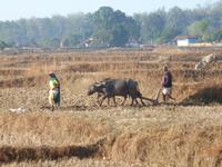 Feldarbeit &ndash; &copy; Mandy Lehmann (Eberhardt TRAVEL)