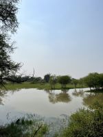 59 Keoladeo-Nationalpark &ndash; &copy; Andy Nguyen (Eberhardt TRAVEL)