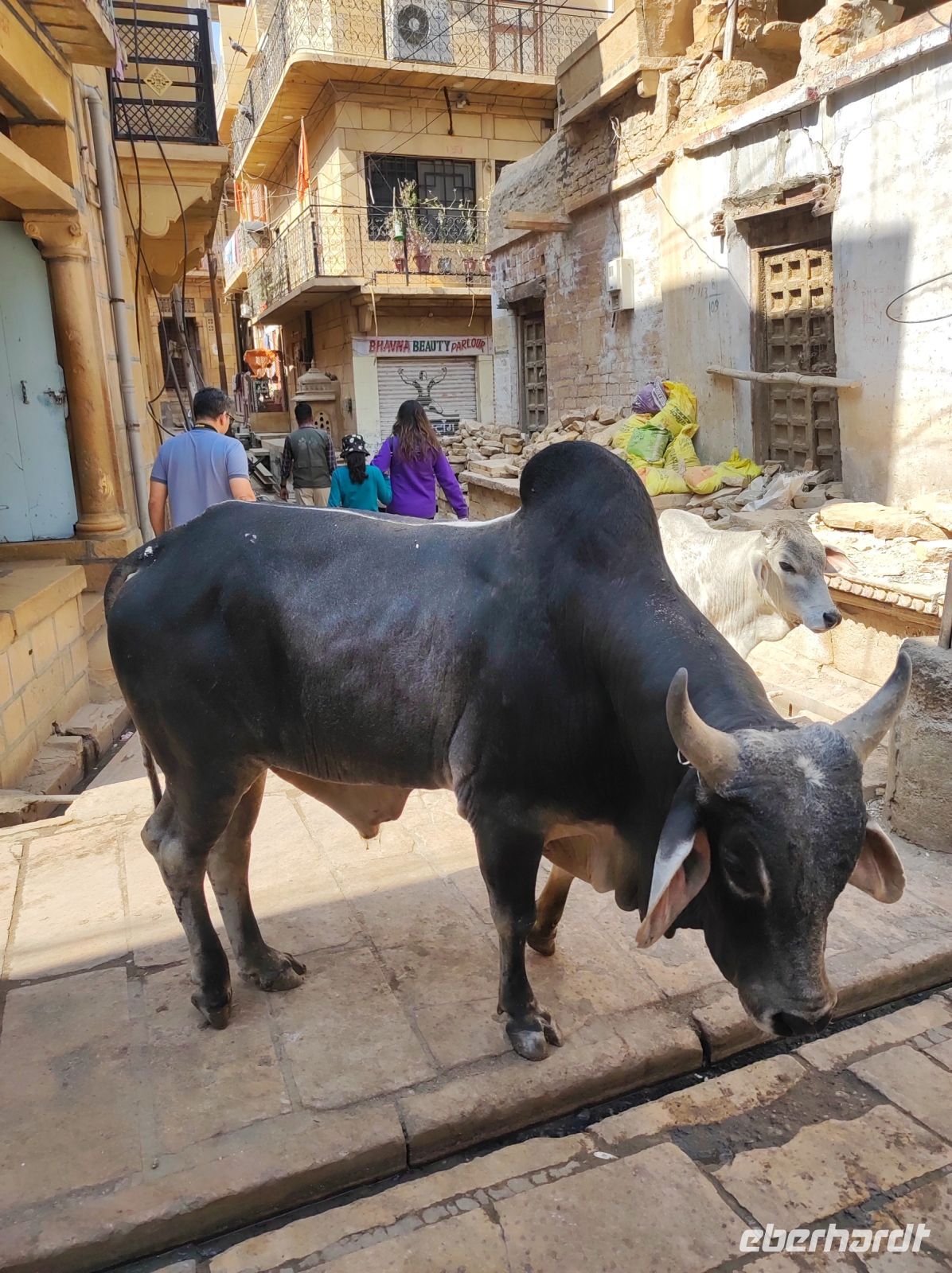 Jaisalmer, Rajesthan - Indien &ndash; &copy; Sten Bernhardt (Eberhardt TRAVEL)