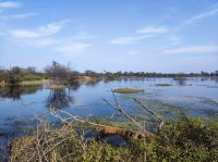 Keoladeo-Nationalpark in Indien &ndash; &copy; Sten Bernhardt (Eberhardt TRAVEL)