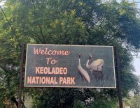 Koladeo Nationalpark (1) &ndash; &copy; Marcus Hasselhorst (Eberhardt TRAVEL)