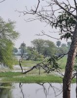 Koladeo Nationalpark (6) &ndash; &copy; Marcus Hasselhorst (Eberhardt TRAVEL)