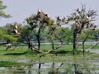 Koladeo Nationalpark (10) &ndash; &copy; Marcus Hasselhorst (Eberhardt TRAVEL)