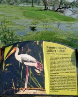 Koladeo Nationalpark (13) &ndash; &copy; Marcus Hasselhorst (Eberhardt TRAVEL)