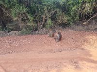 Koladeo Nationalpark (17) &ndash; &copy; Marcus Hasselhorst (Eberhardt TRAVEL)
