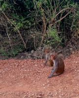 Koladeo Nationalpark (18) &ndash; &copy; Marcus Hasselhorst (Eberhardt TRAVEL)