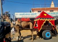 Eindrücke aus Pushkar (9) &ndash; &copy; Marcus Hasselhorst (Eberhardt TRAVEL)