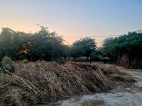 Impressionen Jeep Safari (9) &ndash; &copy; Marcus Hasselhorst (Eberhardt TRAVEL)