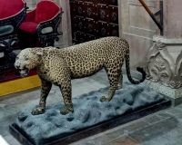 Prunk un dPracht Junagarh Fort (16) &ndash; &copy; Marcus Hasselhorst (Eberhardt TRAVEL)