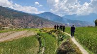 Spaziergang durch Reisfelder &ndash; &copy; Petra Hady (Eberhardt TRAVEL)