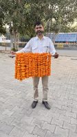 Empfang in Delhi &ndash; &copy; Mareike Schmidt (Eberhardt TRAVEL)