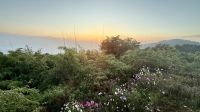 Sonnenaufgang, Tiger Hill &ndash; &copy; Mareike Schmidt (Eberhardt TRAVEL)
