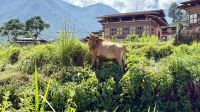 Dorfspaziergang &ndash; &copy; Mareike Schmidt (Eberhardt TRAVEL)