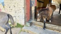 Paro Dzong &ndash; &copy; Mareike Schmidt (Eberhardt TRAVEL)