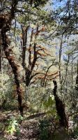 Wanderung, Tigernest &ndash; &copy; Mareike Schmidt (Eberhardt TRAVEL)