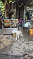 Straßenszenen in Delhi &ndash; &copy; Sinah Witzig (Eberhardt TRAVEL)