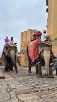 Jaipur: Amber Fort &ndash; &copy; Sinah Witzig (Eberhardt TRAVEL)