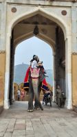 Jaipur: Amber Fort &ndash; &copy; Sinah Witzig (Eberhardt TRAVEL)
