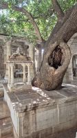 Ranakpur: Jain Tempel &ndash; &copy; Sinah Witzig (Eberhardt TRAVEL)