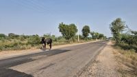 Jeep-Tour um Khejerla &ndash; &copy; Sinah Witzig (Eberhardt TRAVEL)