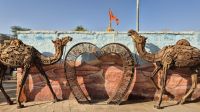 Jaisalmer &ndash; &copy; Sinah Witzig (Eberhardt TRAVEL)