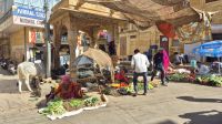 Straßenszene in Jaisalmer &ndash; &copy; Sinah Witzig (Eberhardt TRAVEL)
