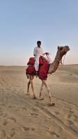 Kamelreiten in der Thar Wüste &ndash; &copy; Sinah Witzig (Eberhardt TRAVEL)