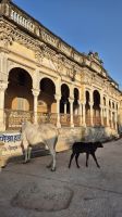 Nawalgarh: Haveli &ndash; &copy; Sinah Witzig (Eberhardt TRAVEL)