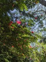 68) Garten an der Unterkunft Machan Country Villa am Chitwan Nationalpark, Nepal &ndash; &copy; Teresa Rumpel (Eberhardt TRAVEL)