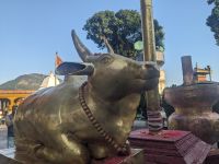 203) Shree Bindhyabasini Tempel, Pokhara, Nepal &ndash; &copy; Teresa Rumpel (Eberhardt TRAVEL)