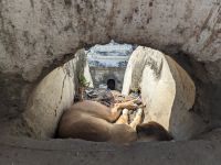 555) Pashupatinath Tempel, Kathmandu, Nepal &ndash; &copy; Teresa Rumpel (Eberhardt TRAVEL)