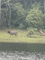 Periyar Nationalpark &ndash; &copy; Andy Nguyen (Eberhardt TRAVEL)
