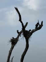 Periyar Nationalpark &ndash; &copy; Andy Nguyen (Eberhardt TRAVEL)