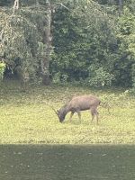 Periyar Nationalpark &ndash; &copy; Andy Nguyen (Eberhardt TRAVEL)