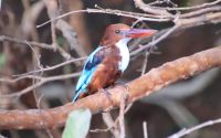 Periyar Nationalpark &ndash; &copy; Andy Nguyen (Eberhardt TRAVEL)