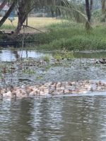 Hausboot Backwaters &ndash; &copy; Andy Nguyen (Eberhardt TRAVEL)