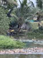 Hausboot Backwaters &ndash; &copy; Andy Nguyen (Eberhardt TRAVEL)