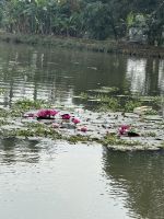 Hausboot Backwaters &ndash; &copy; Andy Nguyen (Eberhardt TRAVEL)