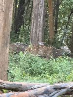 Fahrt durch den Nationalpark in Richtung Mysore &ndash; &copy; Andy Nguyen (Eberhardt TRAVEL)