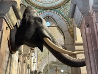 Mysore Palast &ndash; &copy; Andy Nguyen (Eberhardt TRAVEL)