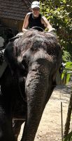 Elefant Junction, Kumily &ndash; &copy; Sabine Reckord (Eberhardt TRAVEL)