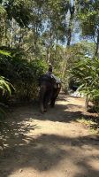 Elefant Junction, Kumily &ndash; &copy; Sabine Reckord (Eberhardt TRAVEL)