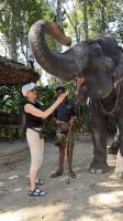 Elefant Junction, Kumily &ndash; &copy; Sabine Reckord (Eberhardt TRAVEL)