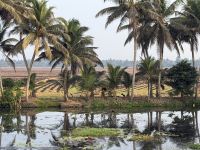 Backwater &ndash; &copy; Sabine Reckord (Eberhardt TRAVEL)