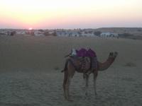 Sonnenuntergang in der Thar &ndash; &copy; Michael Krause (Eberhardt TRAVEL)