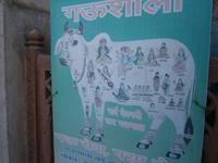 Eberhardt TRAVEL Reise durch Indien -  Fahrt von Delhi nach Jaipur &ndash; &copy; Mandy Lehmann (Eberhardt TRAVEL)