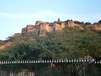 Eberhardt TRAVEL Reise durch Indien -  Fahrt von Delhi nach Jaipur &ndash; &copy; Mandy Lehmann (Eberhardt TRAVEL)