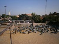 Eberhardt TRAVEL Reise durch Indien -  Jaipur  &ndash; &copy; Mandy Lehmann (Eberhardt TRAVEL)