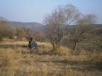 Eberhardt TRAVEL Reise durch Indien -  Ranthambore Nationalpark &ndash; &copy; Mandy Lehmann (Eberhardt TRAVEL)